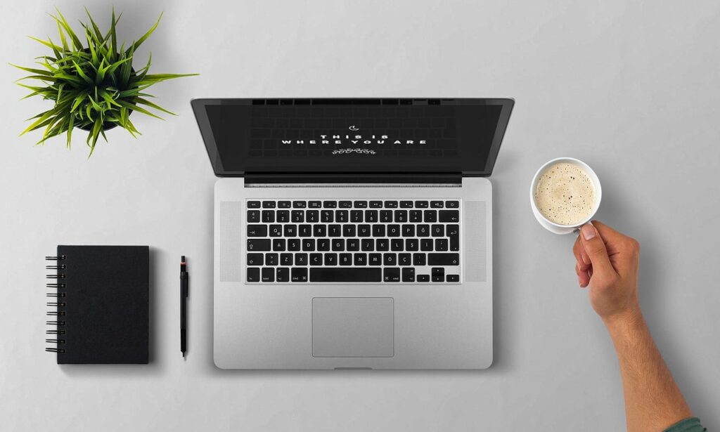 BSF NEWSWIRE: SEO & Qasim Qayoom's Entrepreneurship BSF NEWSWIRE: SEO & Qasim Qayoom's Entrepreneurship